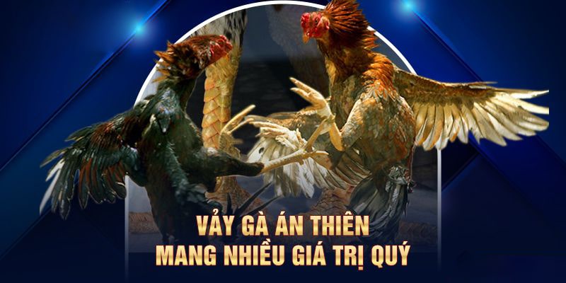 Vảy Án Thiên – Bí Ẩn Đằng Sau Chiến Thắng Của Thần Kê
